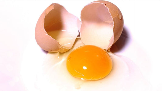 Ovulation menstrual cycle