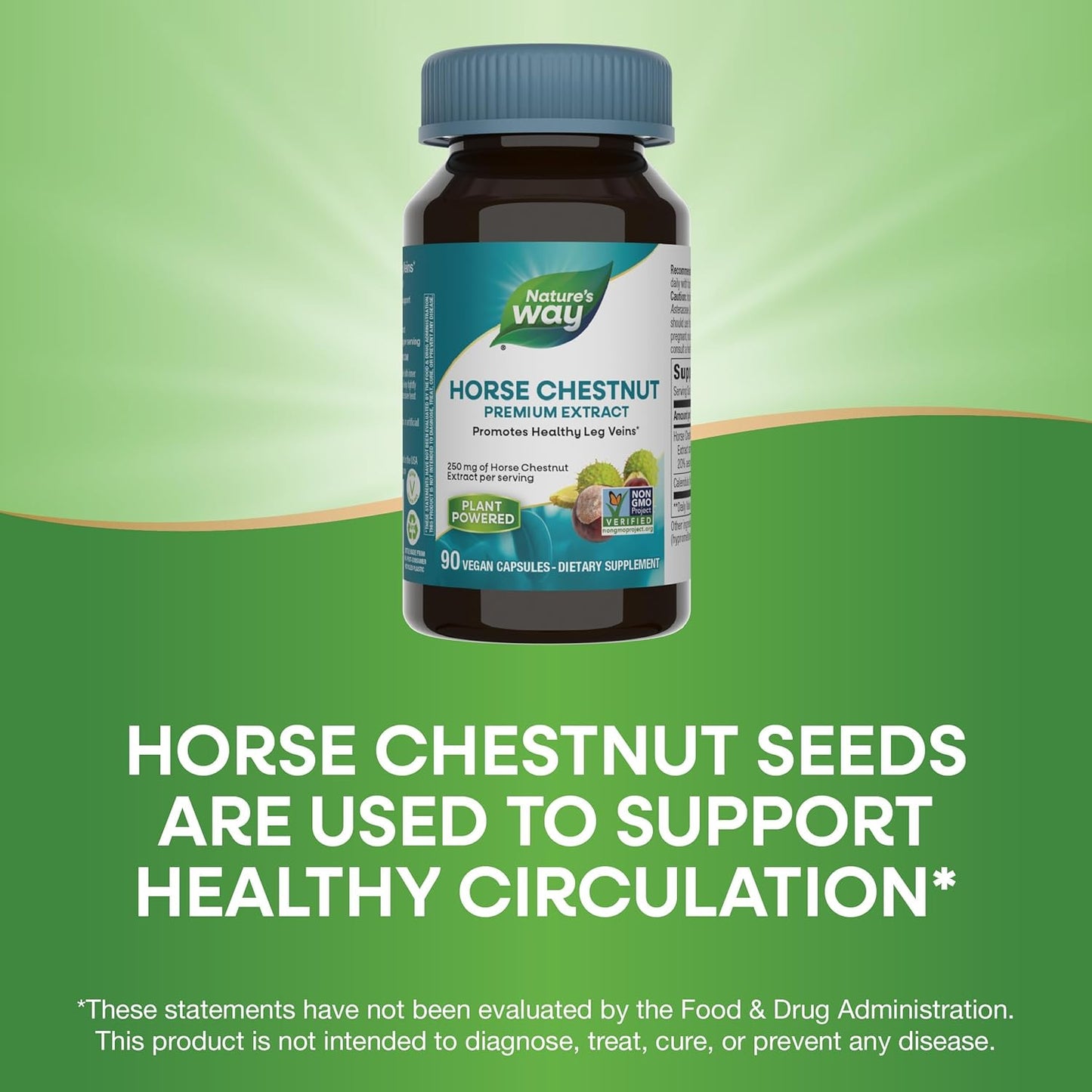 Horse Chestnut Extract