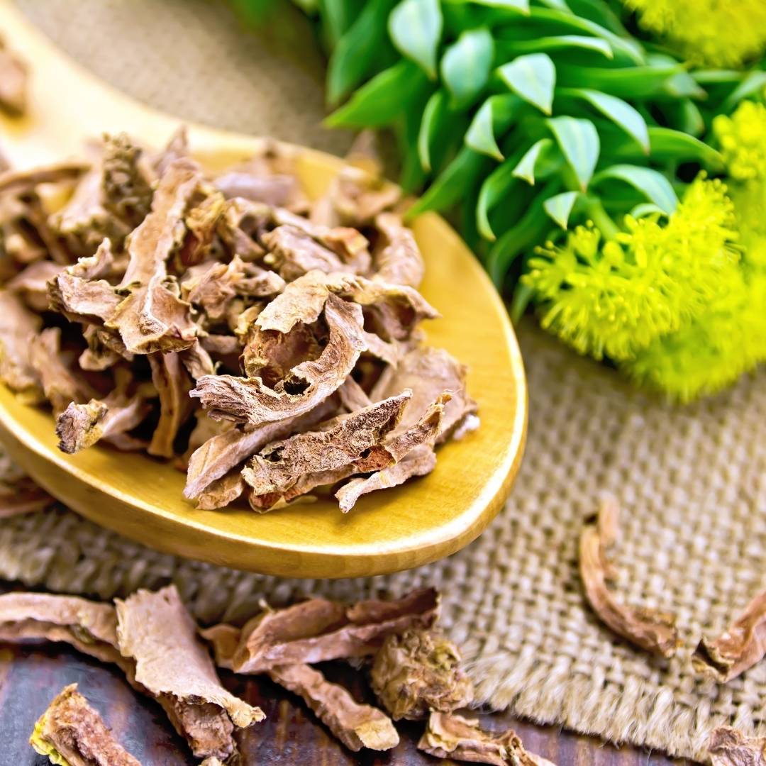Rhodiola rosea