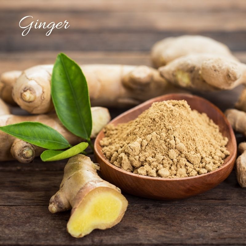 Ginger Root